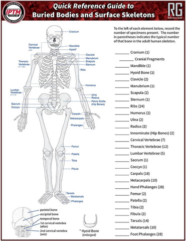 Buried Bodies and Surface Skeletons Quick Reference Guide